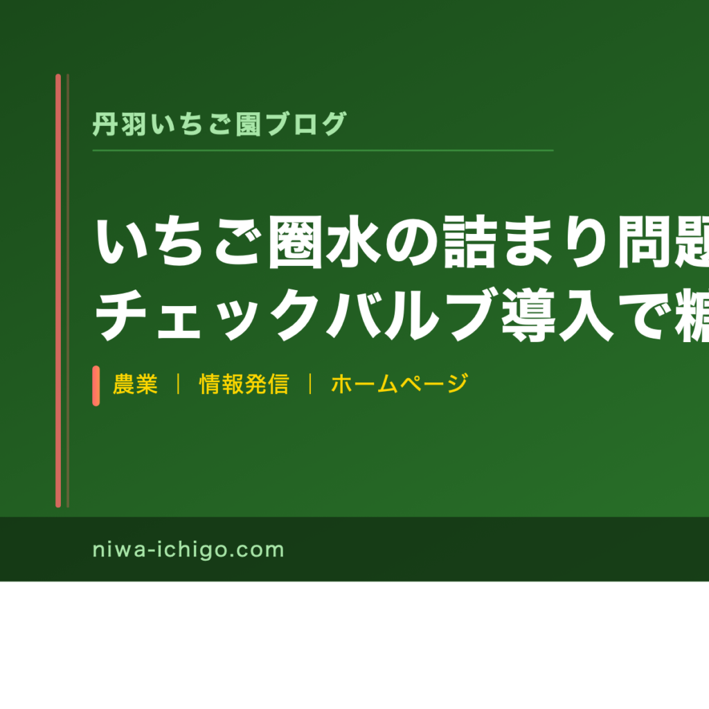 いちご圈水の詰まり問題を解消｜チェックバルブ導入で糖度バラつきも改善する方法 - 記事サムネイル