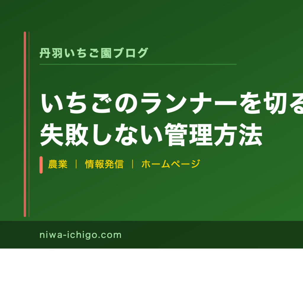 いちごのランナーを切るタイミング｜失敗しない管理方法 - 記事サムネイル