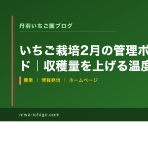いちご栽培2月の管理ポイント完全ガイド｜収穫量を上げる温度・水・病害虫対策 - 記事サムネイル