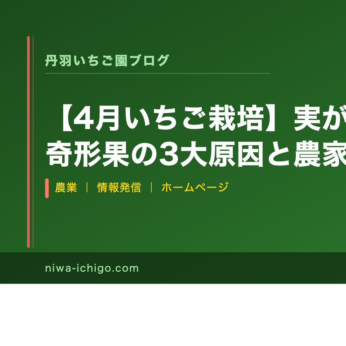 【4月いちご栽培】実がならない・奇形果の3大原因と農家の対策 - 記事サムネイル