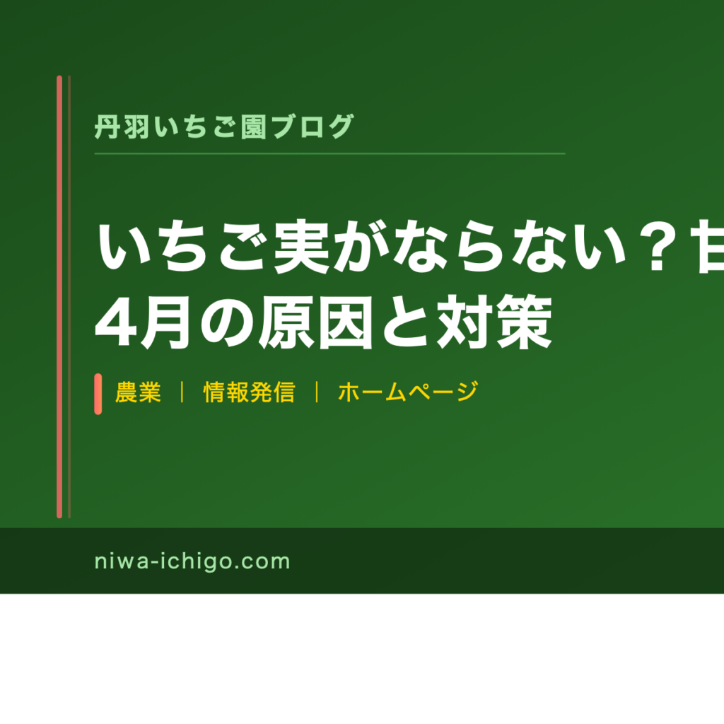 いちご実がならない？甘くならない？4月の原因と対策 - 記事サムネイル