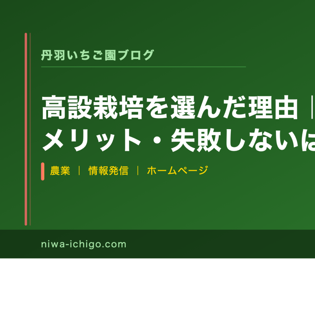 高設栽培を選んだ理由｜土耕との違い・メリット・失敗しないはじめ方 - 記事サムネイル