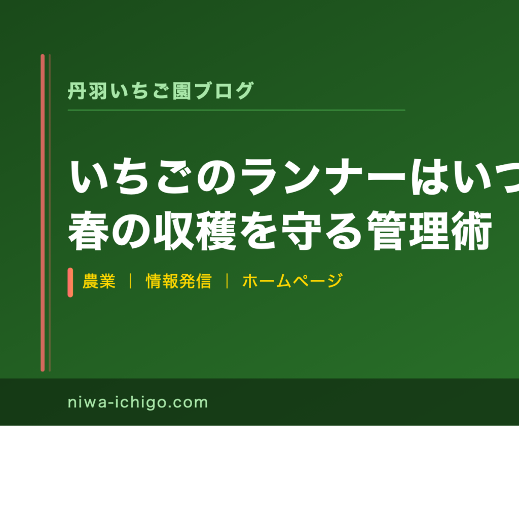 いちごのランナーはいつ切る？春の収穫を守る管理術 - 記事サムネイル