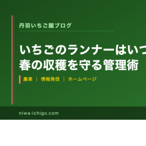 いちごのランナーはいつ切る？春の収穫を守る管理術 - 記事サムネイル