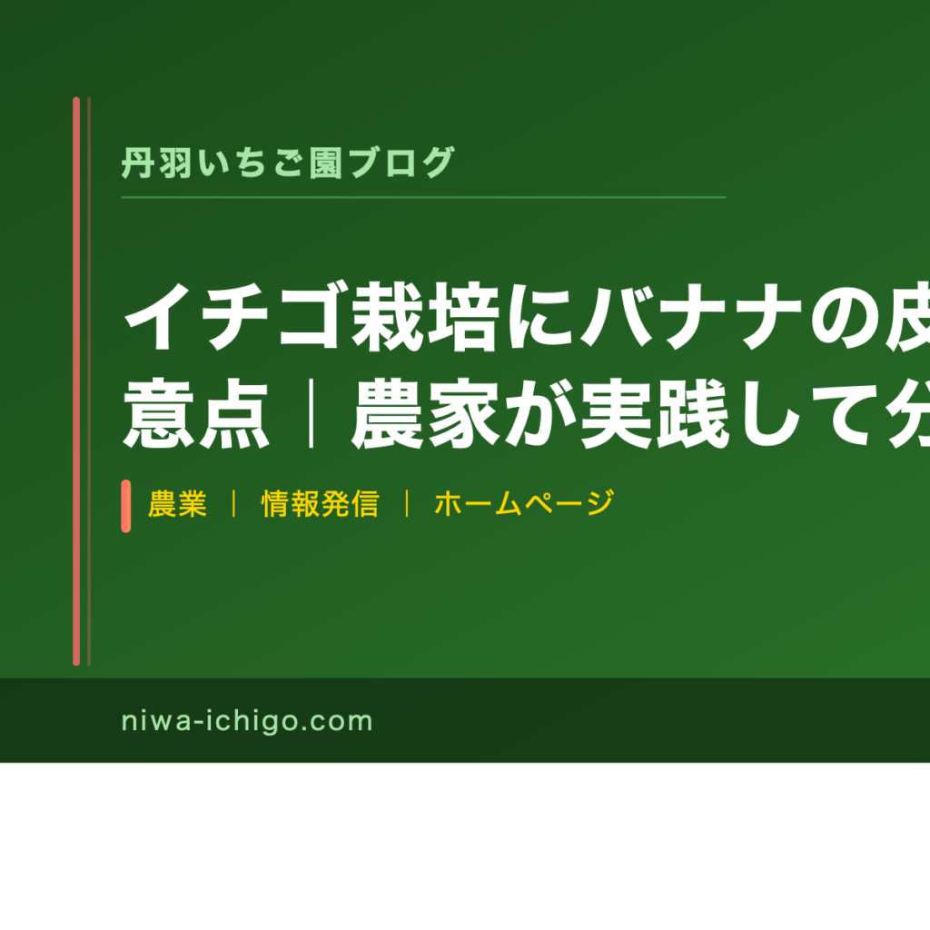 イチゴ栽培にバナナの皮を使う方法と注意点｜農家が実践して分かったこと - 記事サムネイル