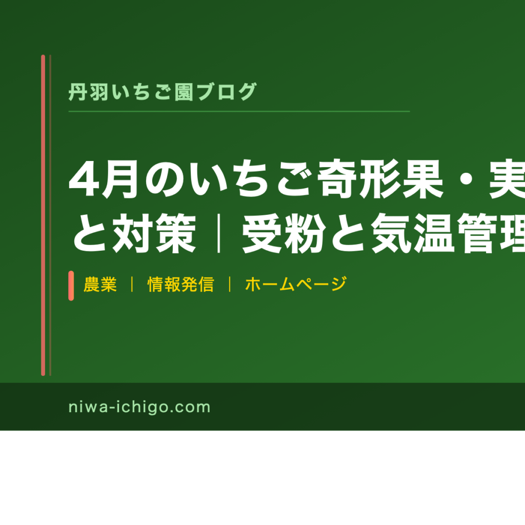4月のいちご奇形果・実がならない原因と対策｜受粉と気温管理のポイント - 記事サムネイル