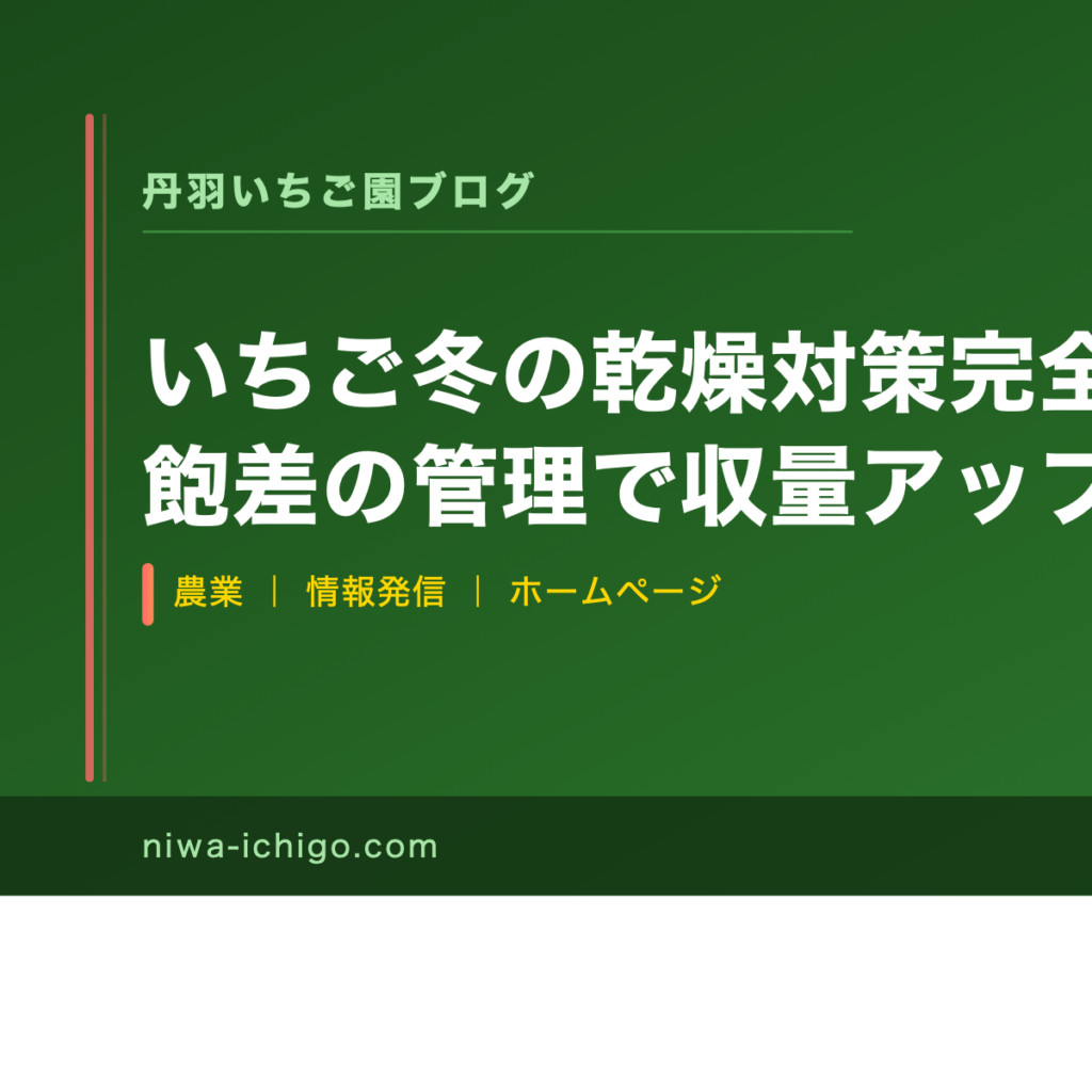 いちご冬の乾燥対策完全ガイド｜湿度・飽差の管理で収量アップを実現する方法 - 記事サムネイル