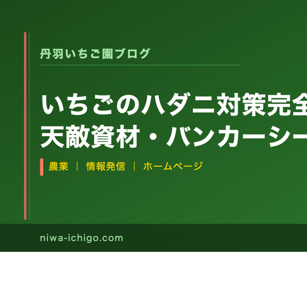いちごのハダニ対策完全ガイド｜天敵資材・バンカーシートの選び方と効果的な使い方 - 記事サムネイル