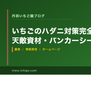 いちごのハダニ対策完全ガイド｜天敵資材・バンカーシートの選び方と効果的な使い方 - 記事サムネイル