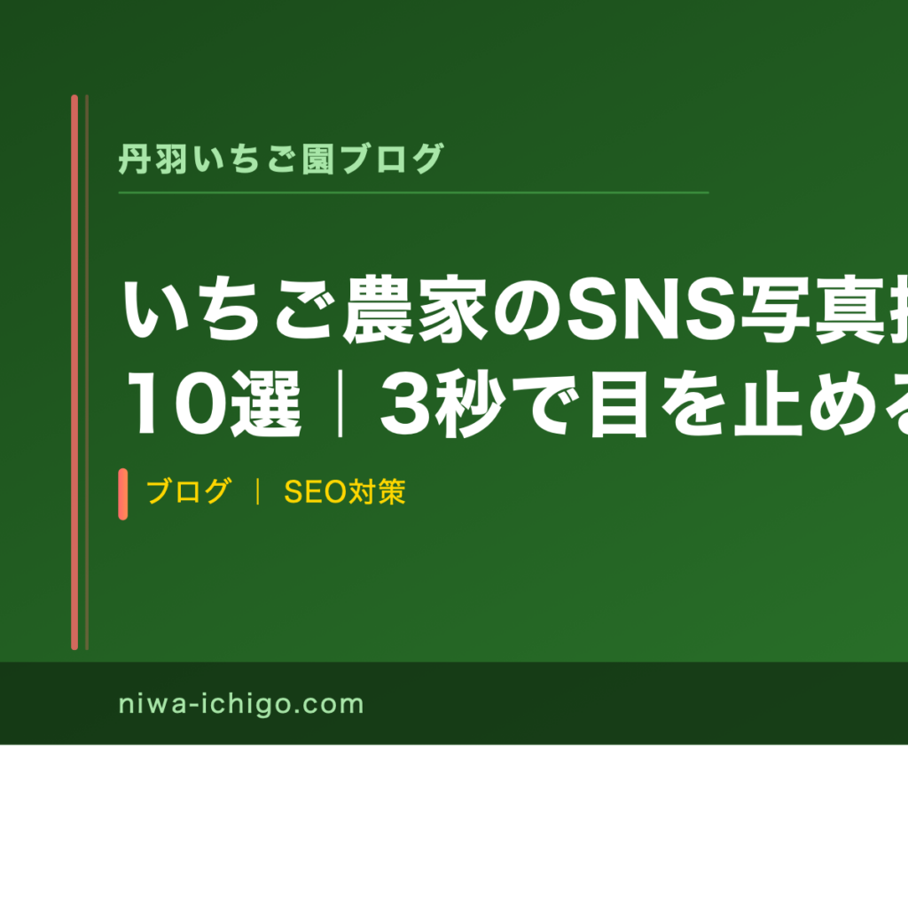 いちご農家のSNS写真撮影テクニック10選｜3秒で目を止める発信の本質 - 記事サムネイル