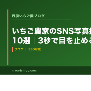 いちご農家のSNS写真撮影テクニック10選｜3秒で目を止める発信の本質 - 記事サムネイル
