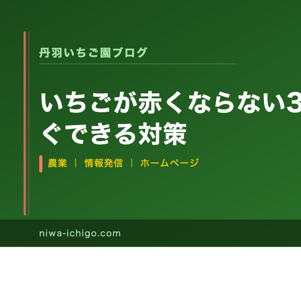 いちごが赤くならない3つの原因と今すぐできる対策 - 記事サムネイル