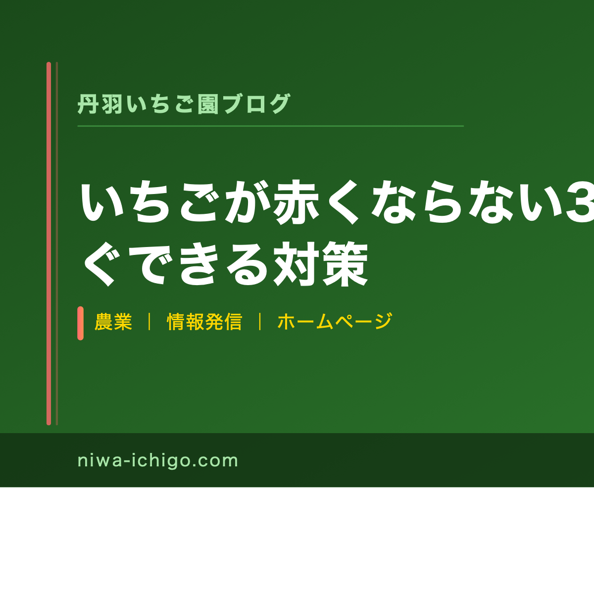 いちごが赤くならない3つの原因と今すぐできる対策 - 記事サムネイル