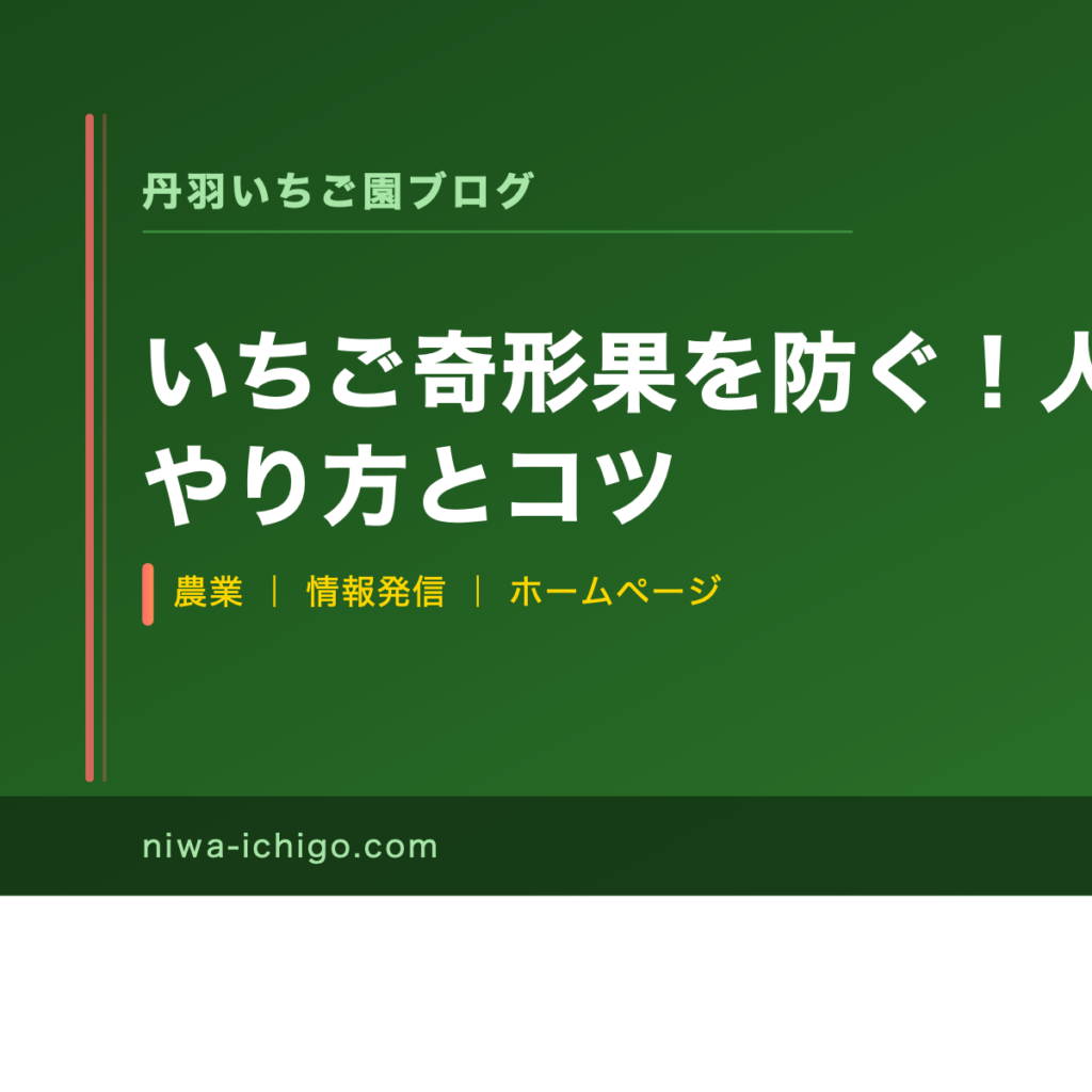 いちご奇形果を防ぐ！人工授粉の正しいやり方とコツ - 記事サムネイル