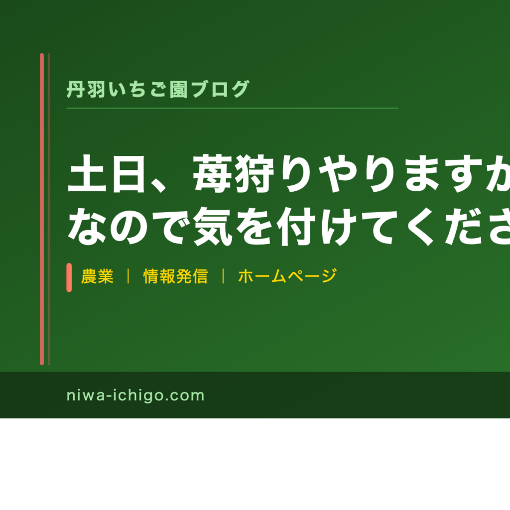 土日、苺狩りやりますが月曜日はお休みなので気を付けてください - 記事サムネイル