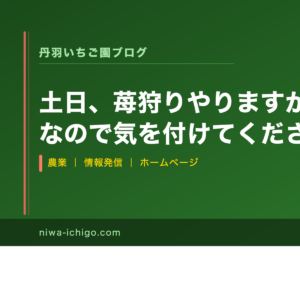 土日、苺狩りやりますが月曜日はお休みなので気を付けてください - 記事サムネイル