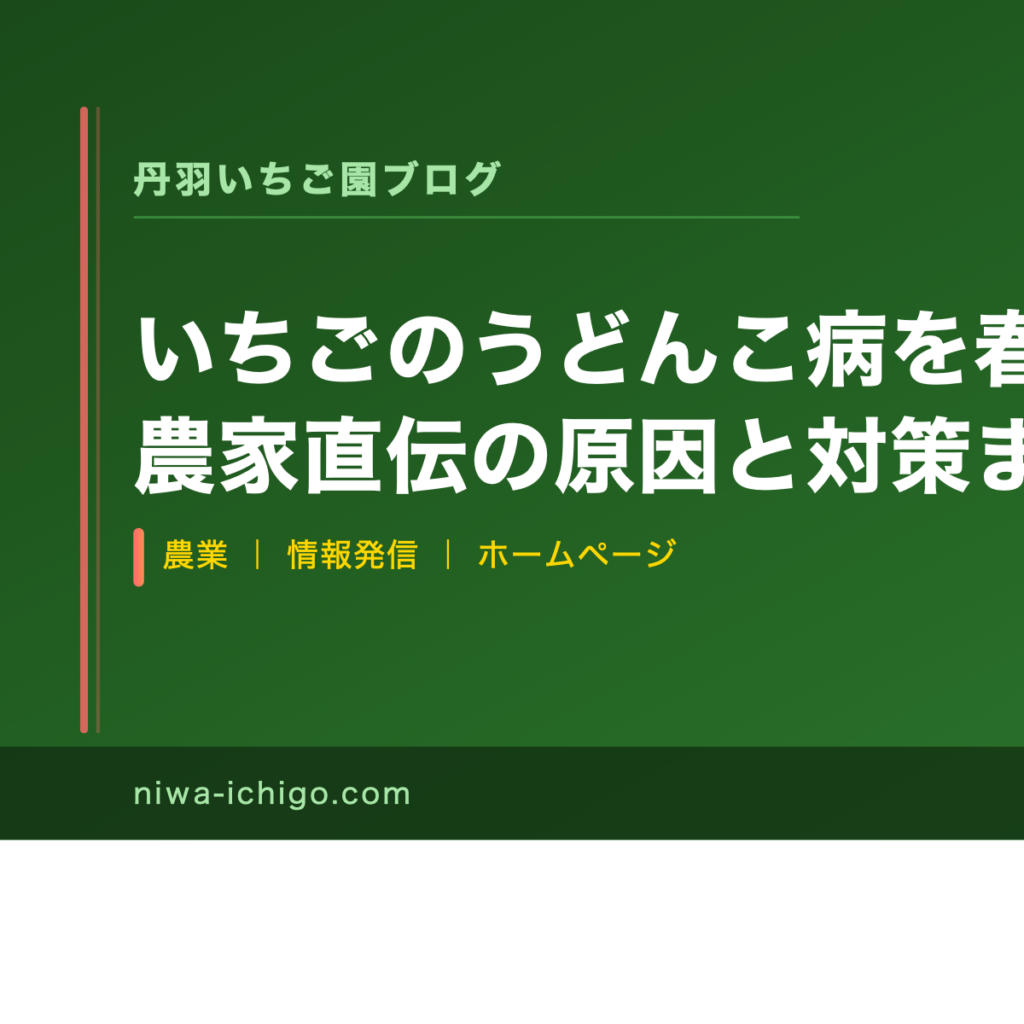 いちごのうどんこ病を春に防ぐ！農家直伝の原因と対策まとめ - 記事サムネイル