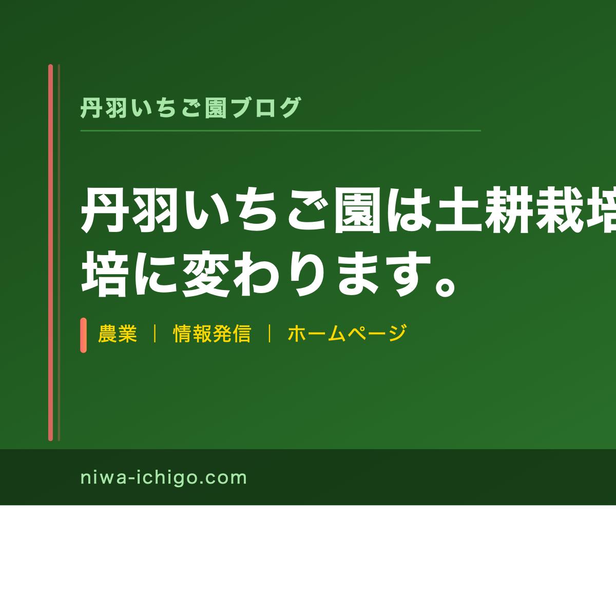 丹羽いちご園は土耕栽培から高設土耕栽培に変わります。 - 記事サムネイル
