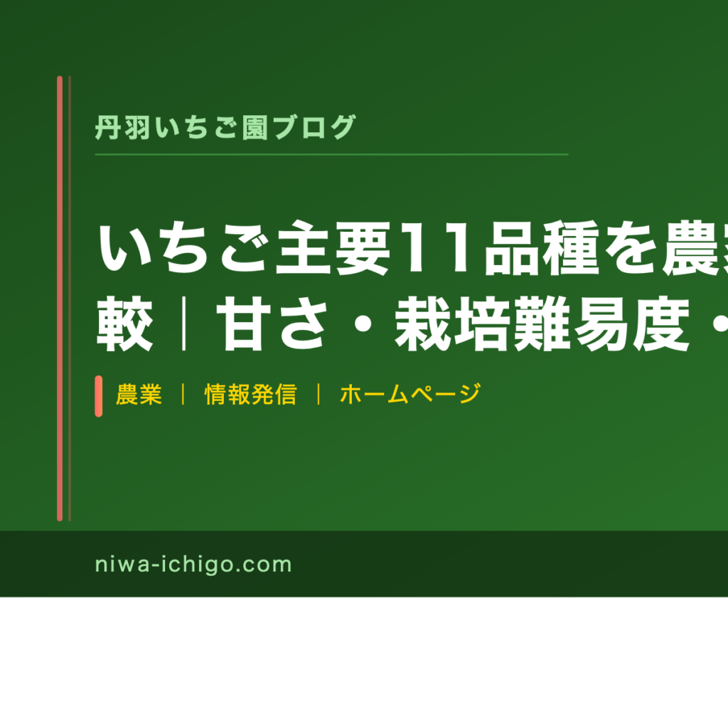 いちご主要11品種を農家目線で徹底比較｜甘さ・栽培難易度・収量を一覧表で解説 - 記事サムネイル