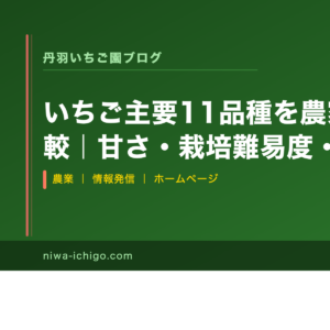 いちご主要11品種を農家目線で徹底比較｜甘さ・栽培難易度・収量を一覧表で解説 - 記事サムネイル