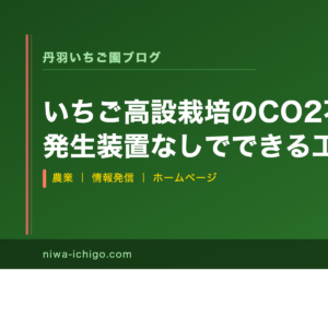 いちご高設栽培のCO2不足を解決｜発生装置なしでできる工夫と換気管理の実践ガイド - 記事サムネイル