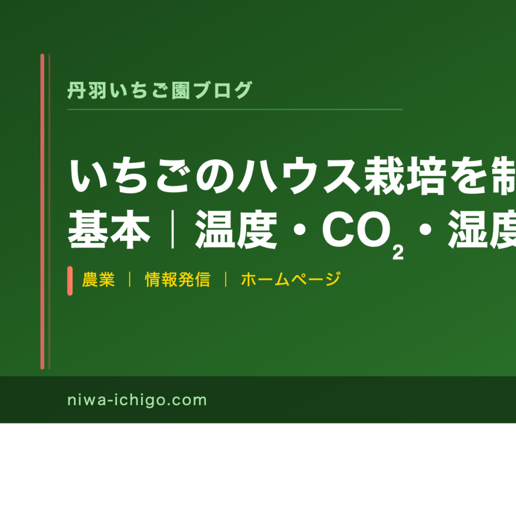 いちごのハウス栽培を制する環境制御の基本｜温度・CO₂・湿度・光の優先順位 - 記事サムネイル