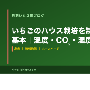 いちごのハウス栽培を制する環境制御の基本｜温度・CO₂・湿度・光の優先順位 - 記事サムネイル