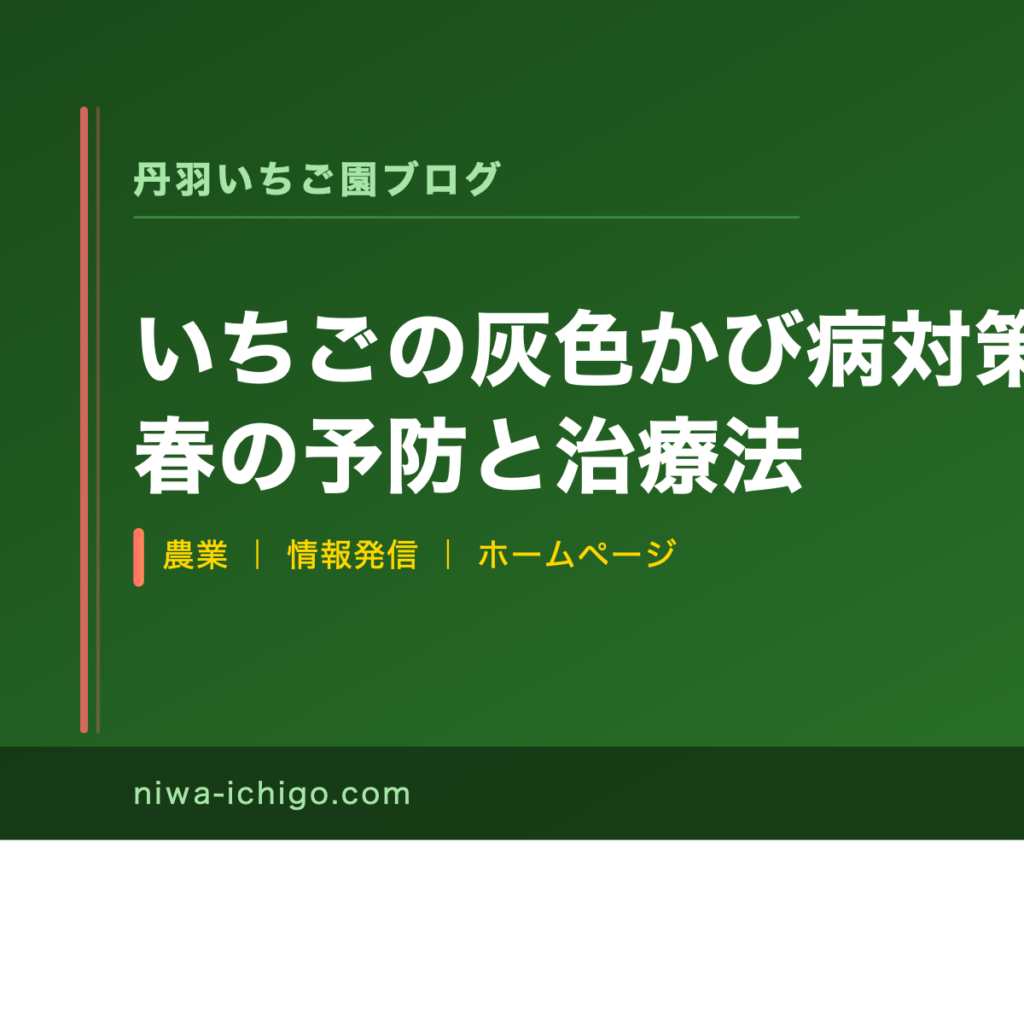 いちごの灰色かび病対策｜農家が教える春の予防と治療法 - 記事サムネイル