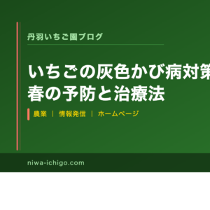 いちごの灰色かび病対策｜農家が教える春の予防と治療法 - 記事サムネイル