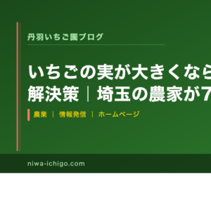 いちごの実が大きくならない原因3つと解決策｜埼玉の農家が7年で実践したこと - 記事サムネイル