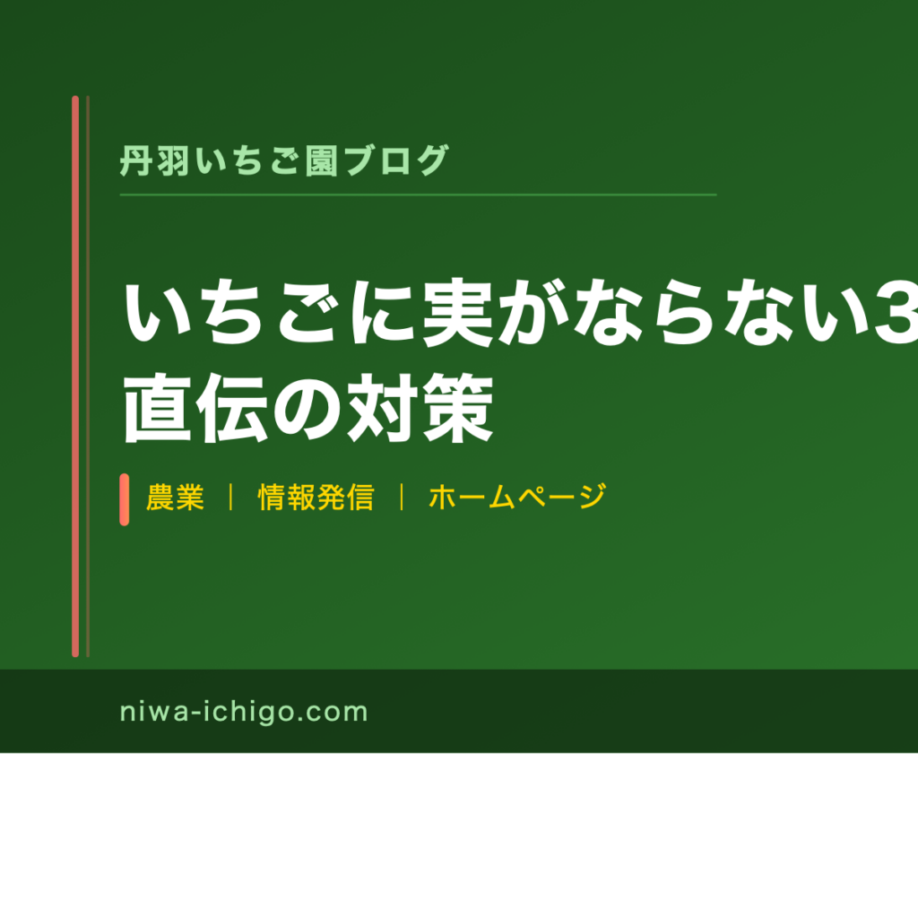 いちごに実がならない3つの原因と農家直伝の対策 - 記事サムネイル
