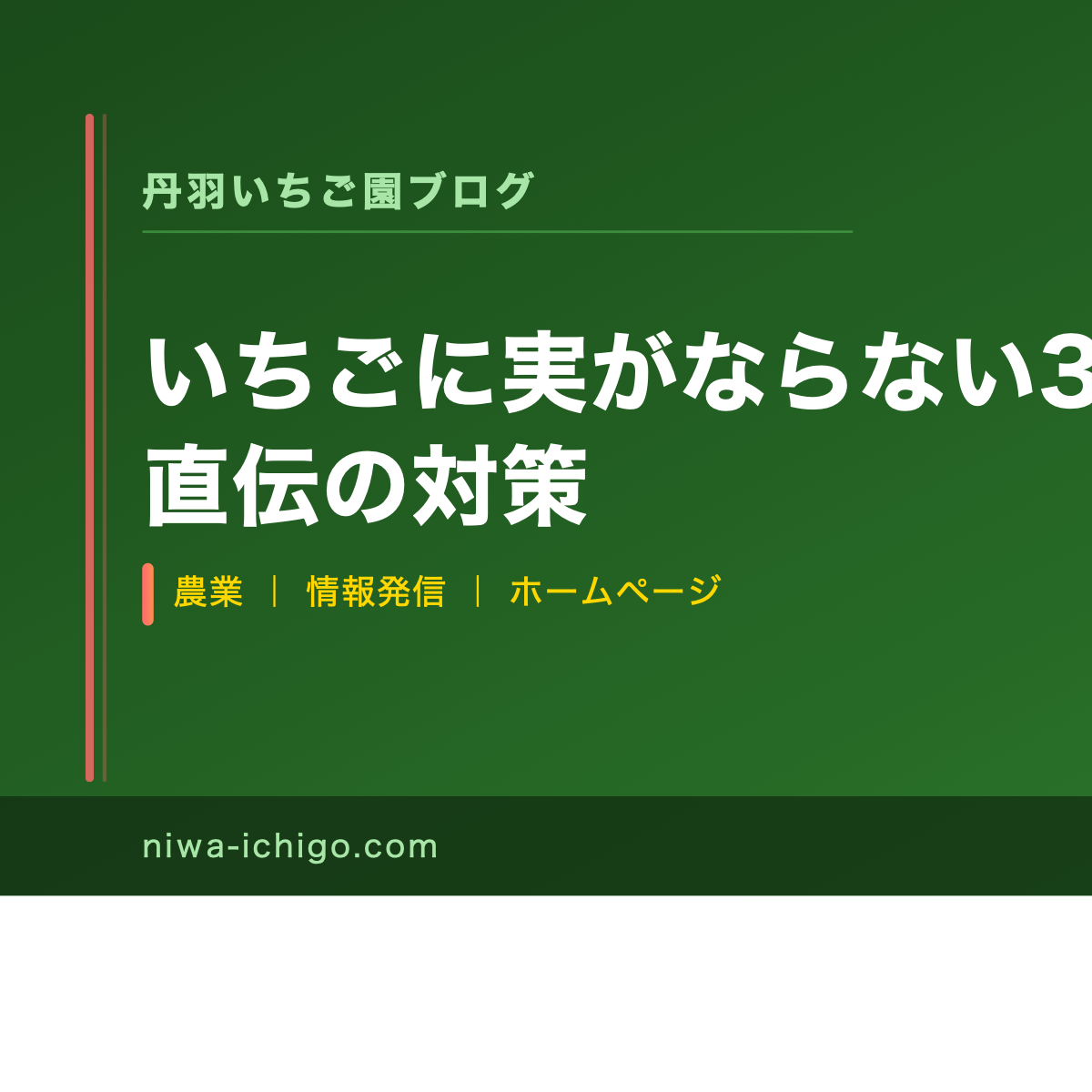 いちごに実がならない3つの原因と農家直伝の対策 - 記事サムネイル