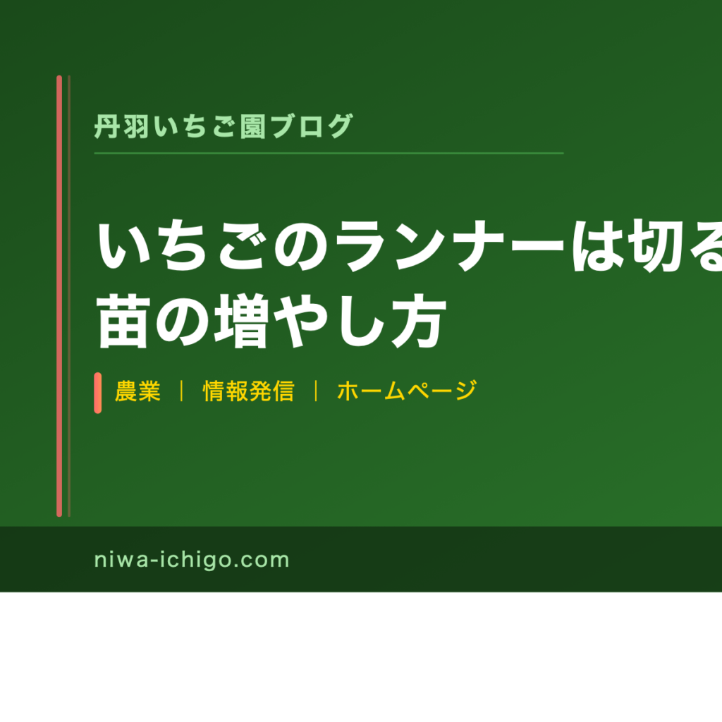 いちごのランナーは切る？4月の正解と苗の増やし方 - 記事サムネイル