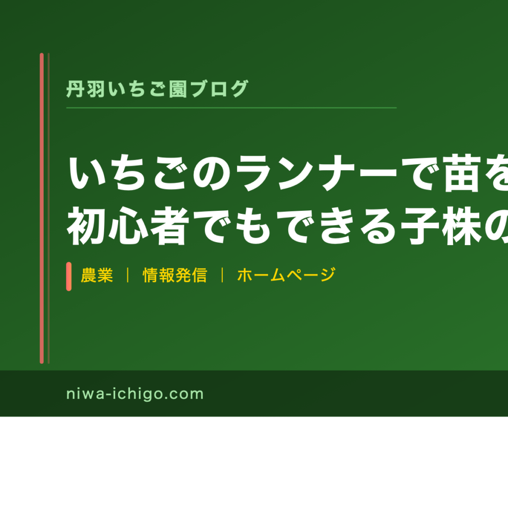 いちごのランナーで苗を大量増殖｜初心者でもできる子株の育て方と4〜6月の管理スケジュール - 記事サムネイル