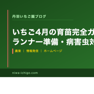 いちご4月の育苗完全ガイド｜親株育成・ランナー準備・病害虫対策を徹底解説 - 記事サムネイル