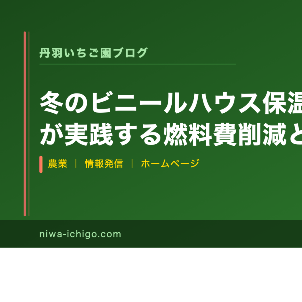 冬のビニールハウス保温術：いちご農家が実践する燃料費削減と保温強化の方法 - 記事サムネイル