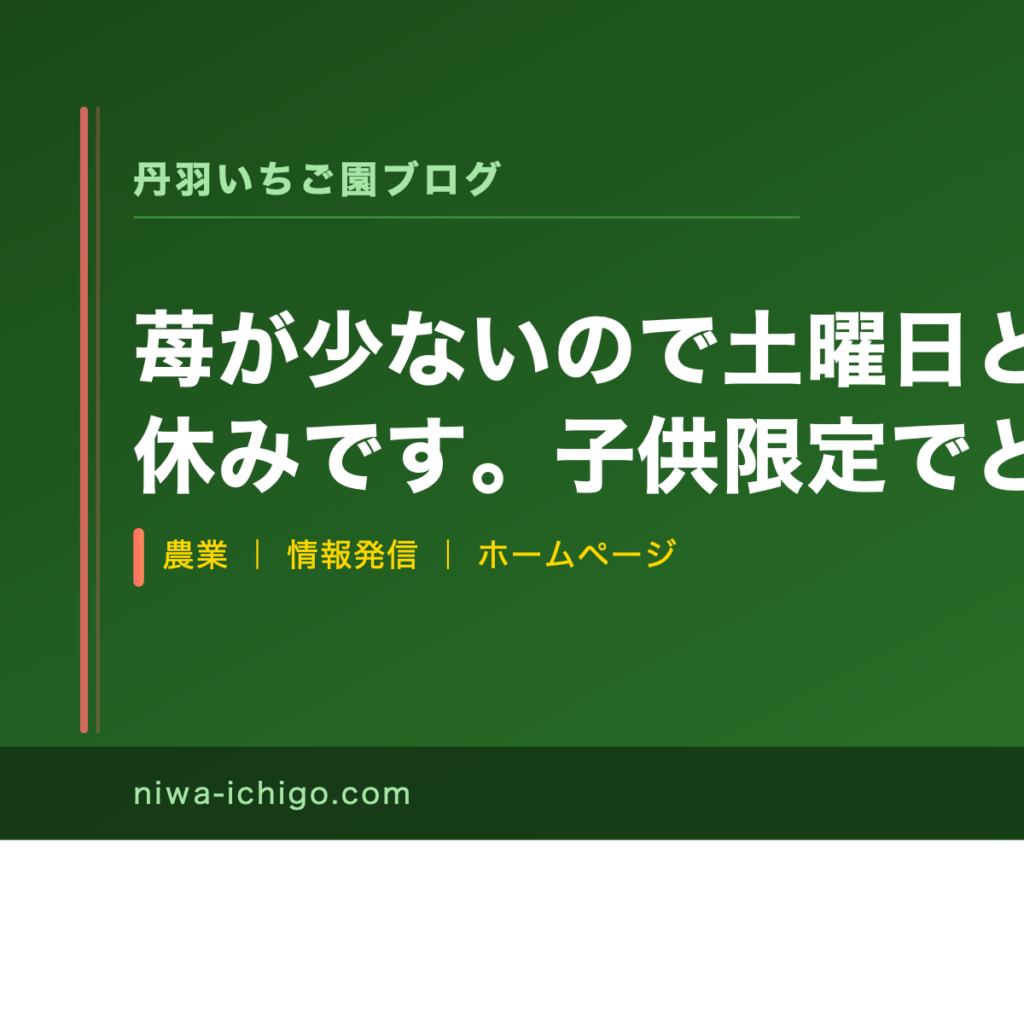 苺が少ないので土曜日と日曜日は原則お休みです。子供限定でどうしてもって方はハウスの中を見てもらってから了承貰った人に案内する形になりますので宜しくお願いします。 - 記事サムネイル