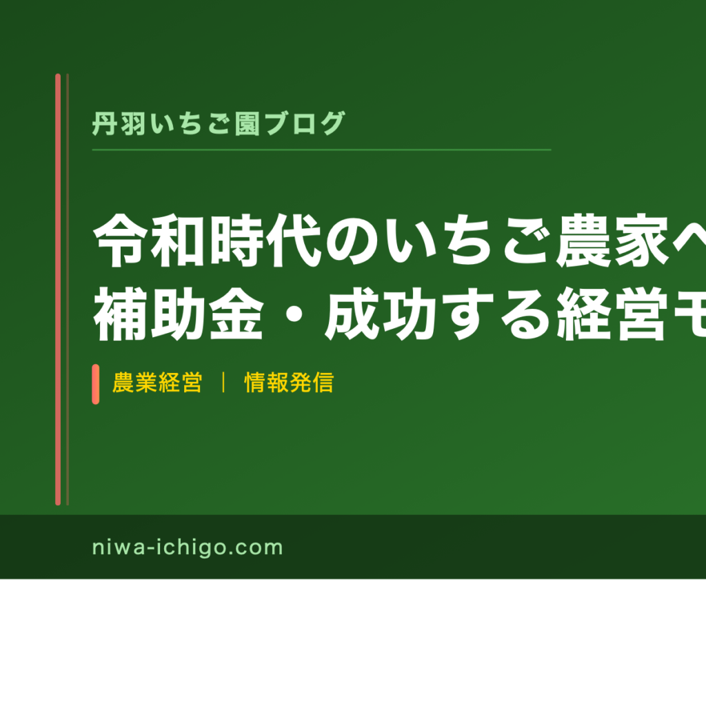 令和時代のいちご農家への道｜5大課題・補助金・成功する経営モデルを解説 - 記事サムネイル