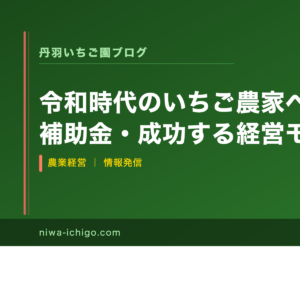 令和時代のいちご農家への道｜5大課題・補助金・成功する経営モデルを解説 - 記事サムネイル