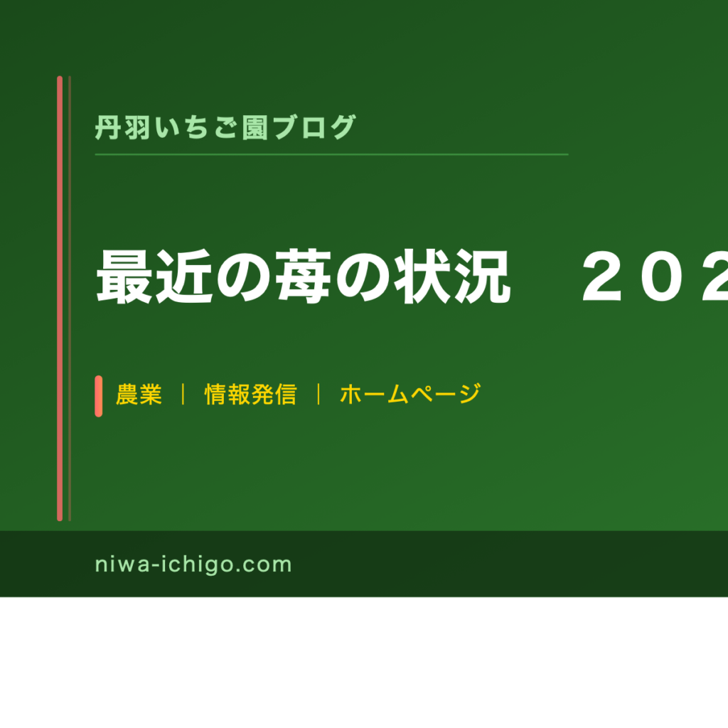 最近の苺の状況　２０２１年２月 - 記事サムネイル