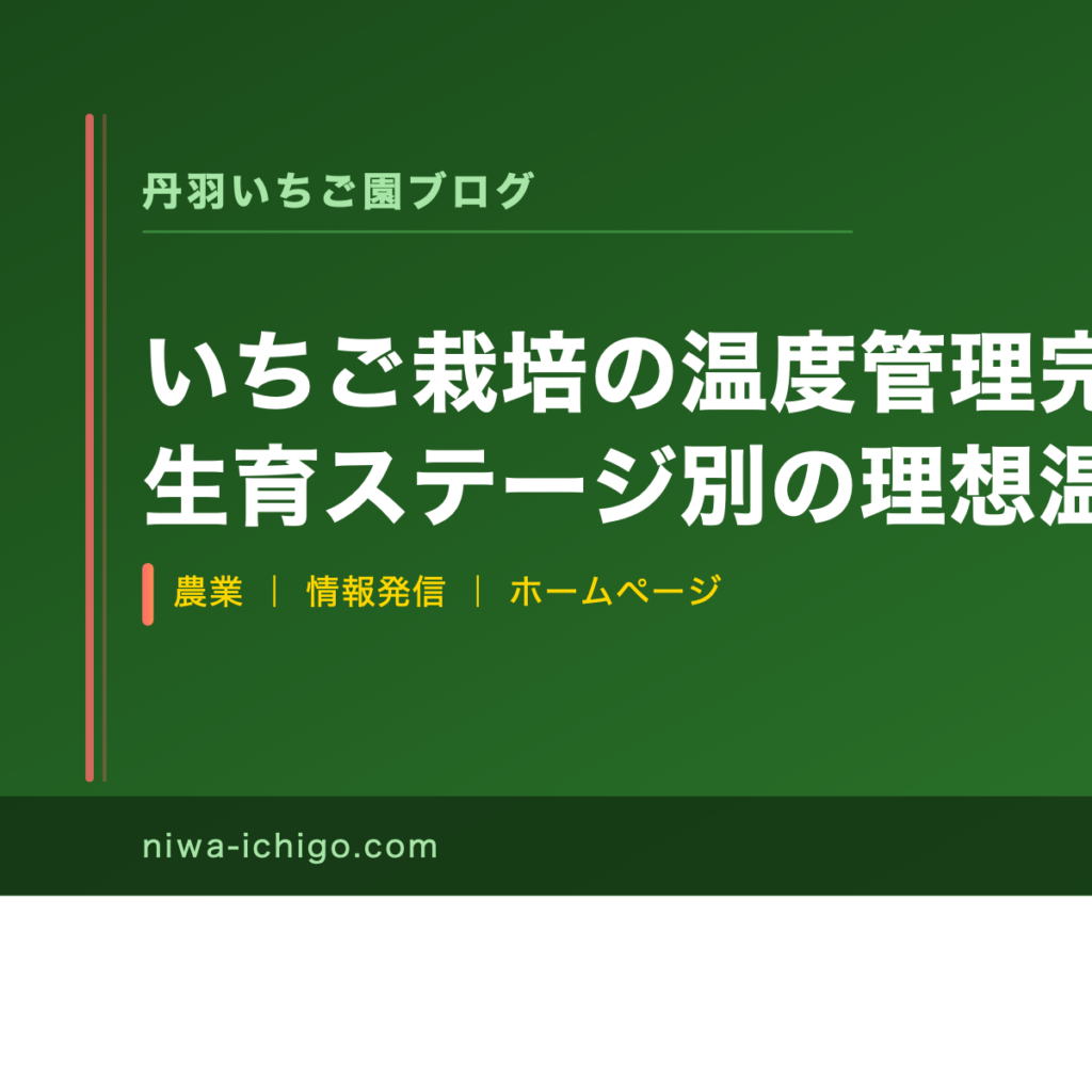 いちご栽培の温度管理完全ガイド｜月別・生育ステージ別の理想温度と加温・冷却の実践方法 - 記事サムネイル