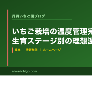 いちご栽培の温度管理完全ガイド｜月別・生育ステージ別の理想温度と加温・冷却の実践方法 - 記事サムネイル