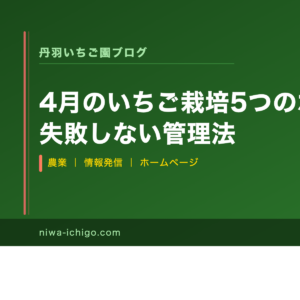 4月のいちご栽培5つのポイント｜失敗しない管理法 - 記事サムネイル