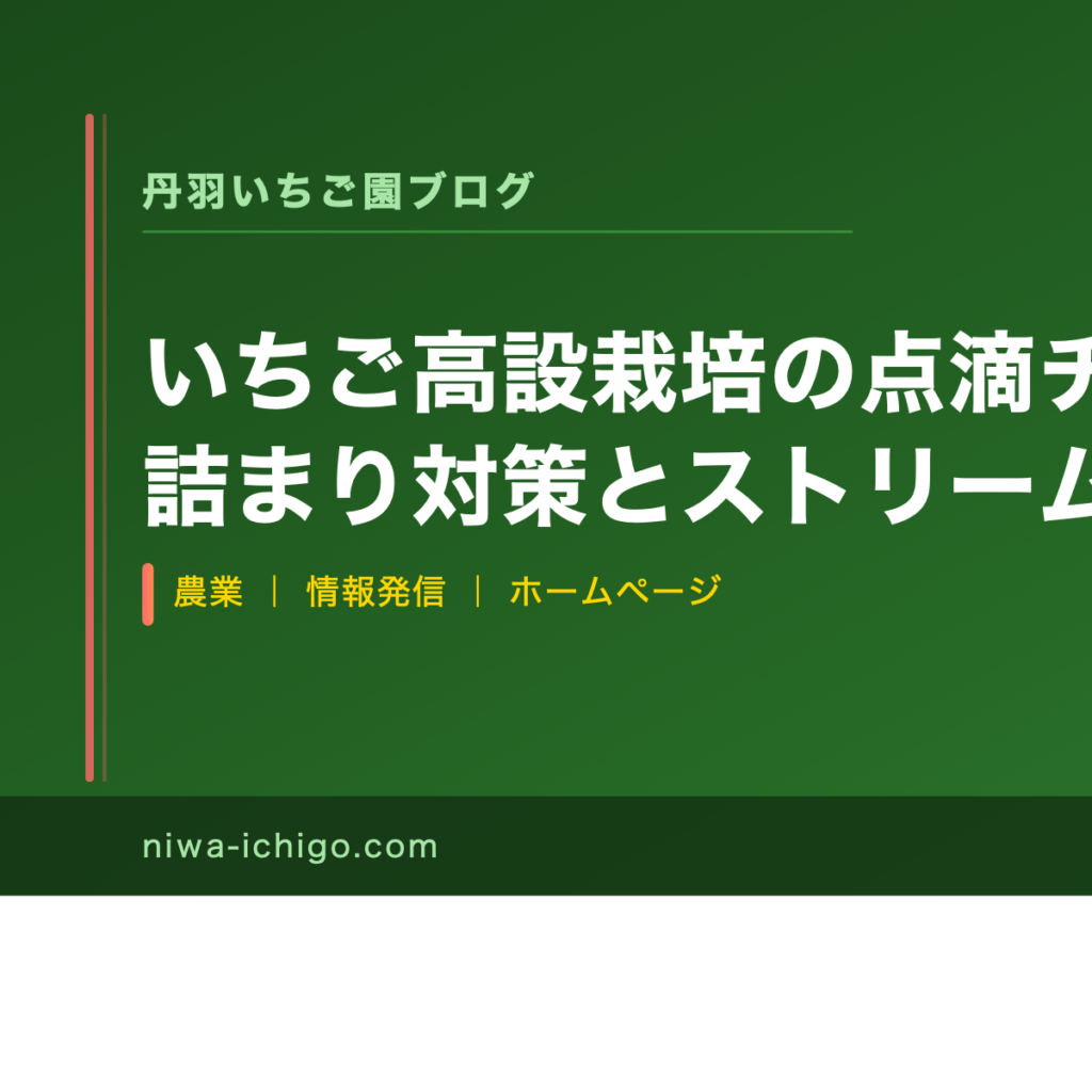 いちご高設栽培の点滴チューブ徹底比較｜詰まり対策とストリームラインX80・四万十チューブの選び方 - 記事サムネイル