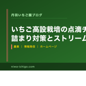 いちご高設栽培の点滴チューブ徹底比較｜詰まり対策とストリームラインX80・四万十チューブの選び方 - 記事サムネイル