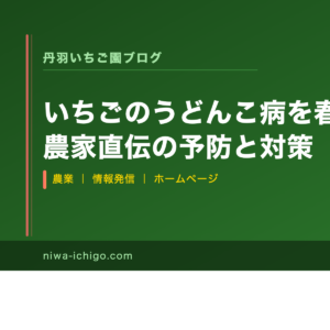 いちごのうどんこ病を春に防ぐ！農家直伝の予防と対策 - 記事サムネイル