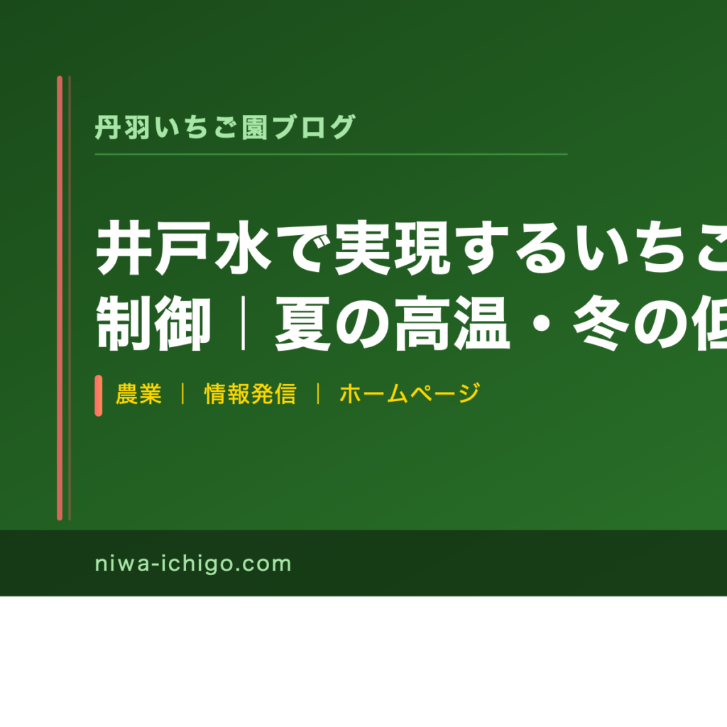 井戸水で実現するいちごのクラウン温度制御｜夏の高温・冬の低温ストレスを低コストで解決する方法 - 記事サムネイル