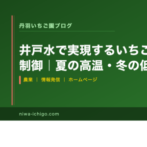 井戸水で実現するいちごのクラウン温度制御｜夏の高温・冬の低温ストレスを低コストで解決する方法 - 記事サムネイル