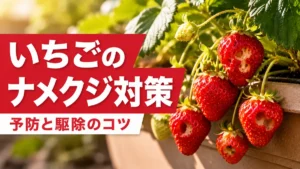 いちごのナメクジ対策｜予防と駆除のコツのサムネイル