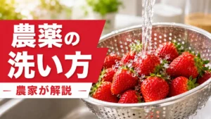 流水で洗ういちご｜農薬の洗い方